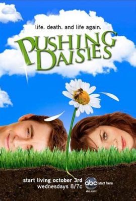  Pushing Daisies - Den magiska serien om döden, kärlek och bakverk!